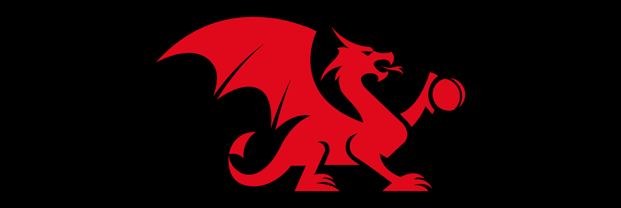 Working with Cricket Wales to Support Developing Players